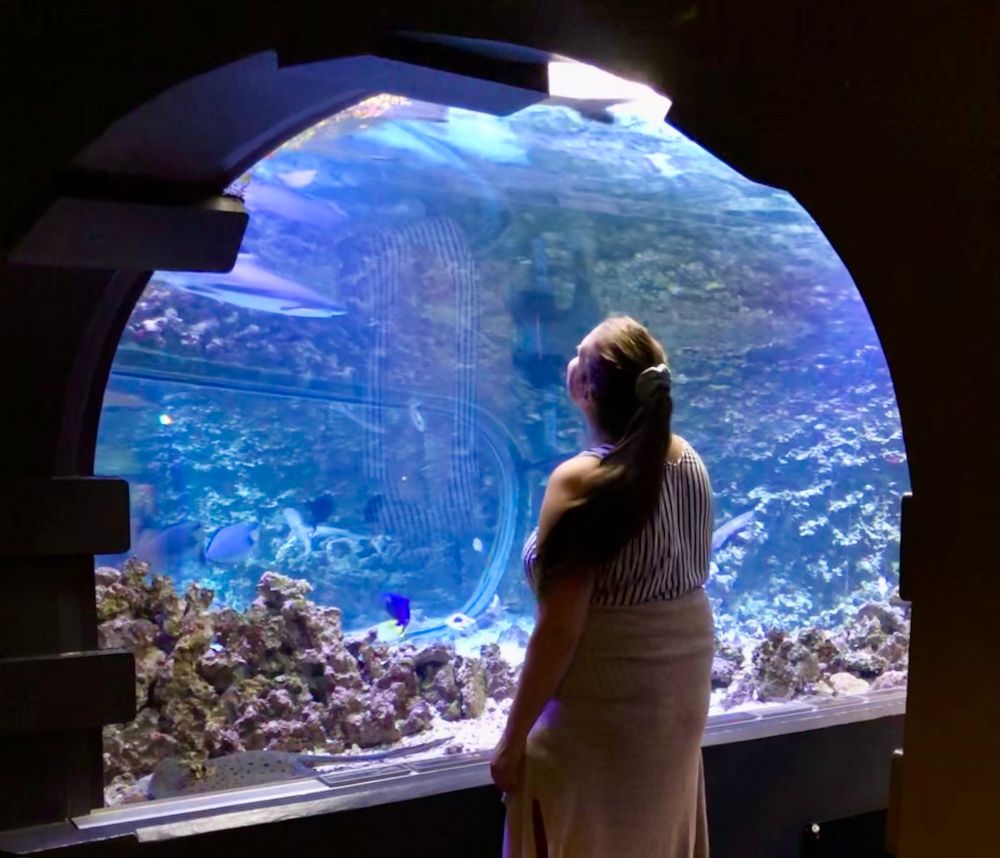 a girl in a white top standing with her back to the camera looking up at a large tropical aquarium tank with blue fish in it.