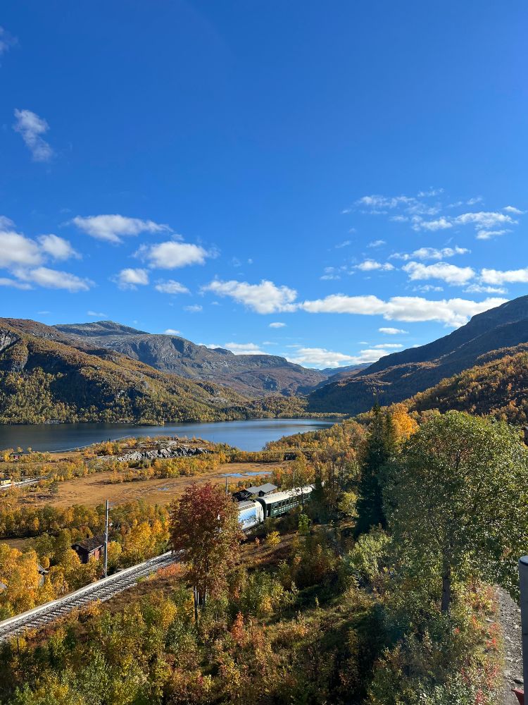 A green train (the Flåm railway) travelling through a mountain landscape with orange trees, a small, dark lake in the background, and blue skies above.
