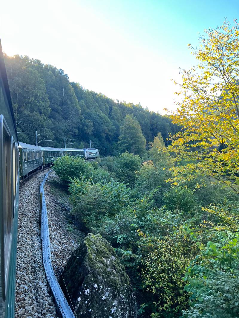 the flåm railway, a green train traveling through a lush green landscape in a valley in Norway